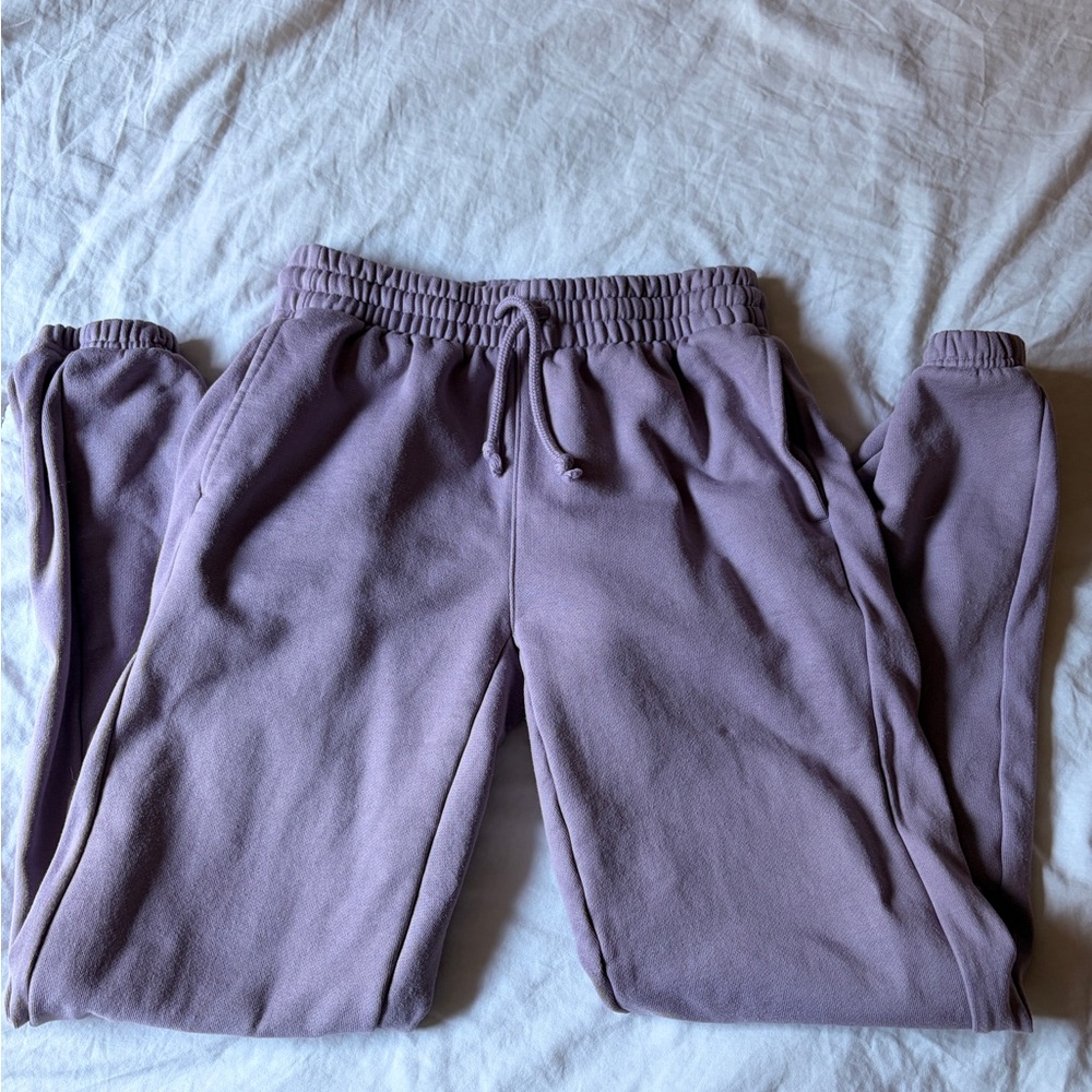 Aritzia TNA extra fleece sweatpants
